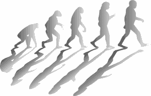 Evolution der Menscheit das Bild zeigt die menschlice Entwicklung vom Affen auf vier Beinen nach und nach bis zum aufrecht gehenden Menschen heute.