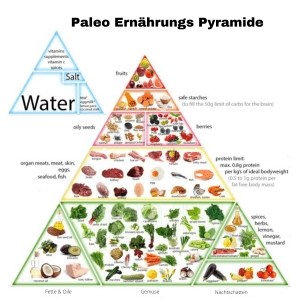 Pyramide mit Beschriftung und Fotos von Lebensmitteln die bei Paleo Diät erlaubt sind